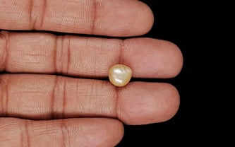 Venezuela Pearl - 4.30 Carat Limited Quality SSP-8962