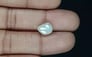 Venezuela Pearl - 4.46 Carat Limited Quality SSP-8806