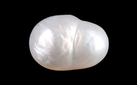 Venezuela Pearl - 4.51 Carat Limited Quality SSP-8972