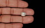 Venezuela Pearl - 4.66 Carat Limited Quality SSP-8973