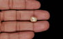 Venezuela Pearl - 4.67 Carat Limited Quality SSP-8956