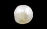 Venezuela Pearl - 4.74 Carat Limited Quality SSP-8574