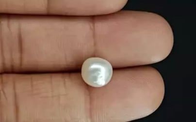 Venezuela Pearl - 5.00 Carat Limited Quality SSP-8682