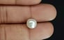Venezuela Pearl - 5.00 Carat Limited Quality SSP-8682