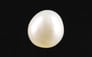 Venezuela Pearl - 5.00 Carat Limited Quality SSP-8682