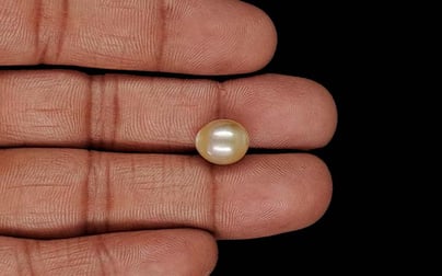 Venezuela Pearl - 5.71 Carat Limited Quality SSP-8986