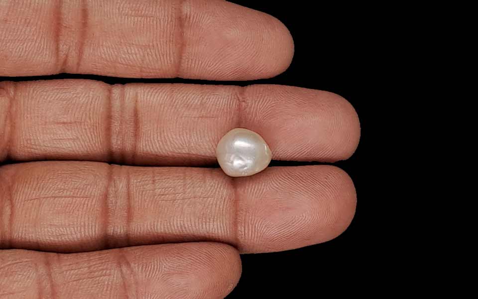 Venezuela Pearl - 6.10 Carat Limited Quality SSP-8992