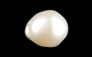 Venezuela Pearl - 6.10 Carat Limited Quality SSP-8992