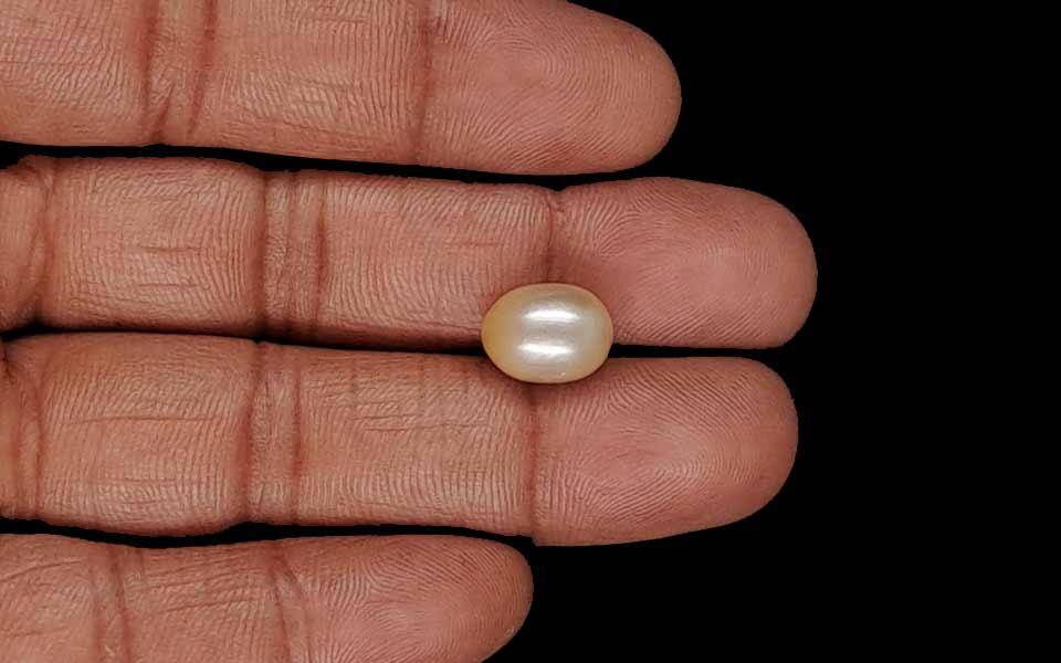 Venezuela Pearl - 6.53 Carat Limited Quality SSP-8987