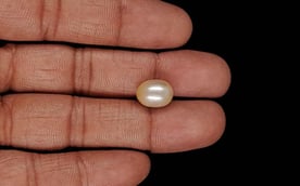 Venezuela Pearl - 6.53 Carat Limited Quality SSP-8987