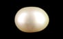 Venezuela Pearl - 6.53 Carat Limited Quality SSP-8987