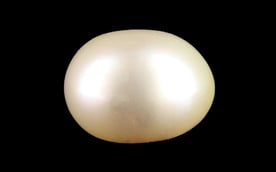 Venezuela Pearl - 6.53 Carat Limited Quality SSP-8987