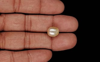 Venezuela Pearl - 6.69 Carat Limited Quality SSP-8988
