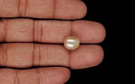 Venezuela Pearl - 6.69 Carat Limited Quality SSP-8988