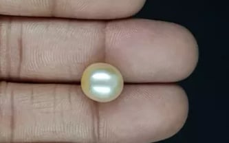 Venezuela Pearl - 7.4 Carat Rare Quality SSP-8818