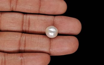 Venezuela Pearl - 7.84 Carat Limited Quality SSP-9049