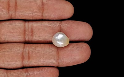 Venezuela Pearl - 9.07 Carat Limited Quality SSP-9051