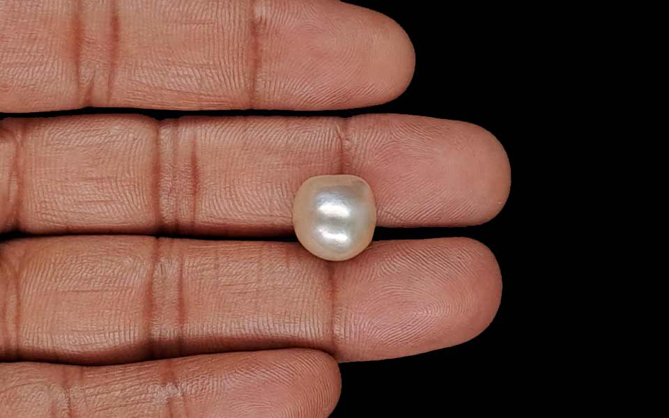 Venezuela Pearl - 9.80 Carat Limited Quality SSP-9048
