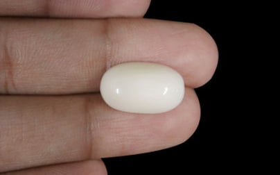  White Coral - WC 7575 (Origin-Italian) Prime - Quality