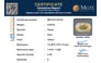 yt-25103-certificate-mgtlyt-25103-2-31654